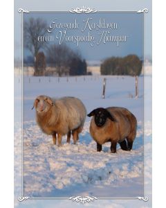 Kerst 2026-03