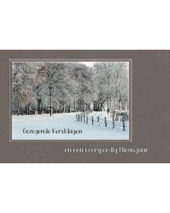 Kerst 2026-30