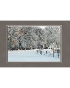 Winter blanco 27