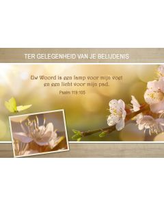 Belijdenis 02