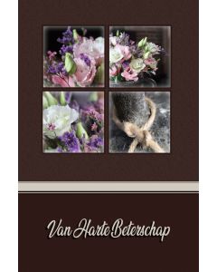 Beterschap algemeen 46