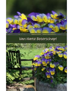 Beterschap algemeen 32