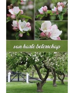 Beterschap heren 29