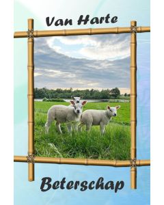 Beterschap kind 03