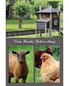 Beterschap kind 21