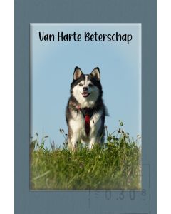Beterschap kind 24