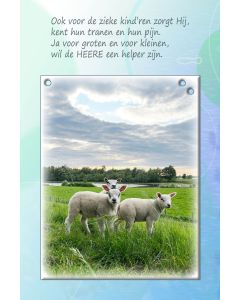 Beterschap kind 20