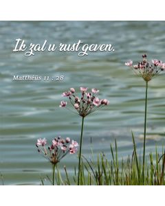 Vierkant 83