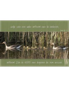 Bijbeltekst 12