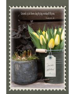 Bijbeltekst 23