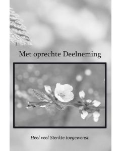 Deelneming 11