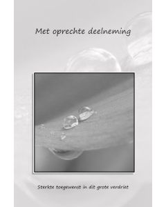 Deelneming 44