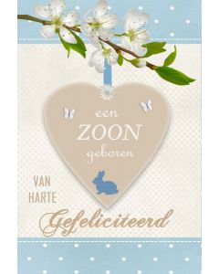 Geboorte zoon 04