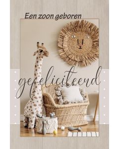 Geboorte zoon 15