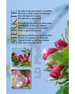 gedicht 17