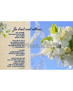 gedicht 20