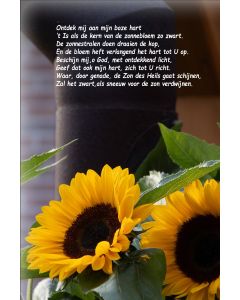 Gedicht 43
