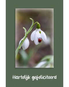 Gefeliciteerd algemeen 02