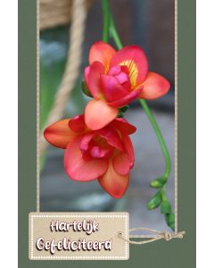 Gefeliciteerd algemeen 108