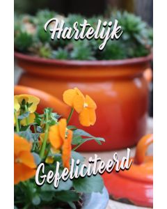 Gefeliciteerd algemeen 111