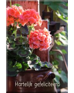 Gefeliciteerd algemeen 112