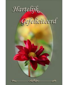 Gefeliciteerd algemeen 113