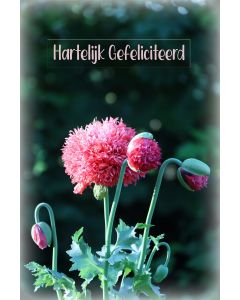 Gefeliciteerd algemeen 125