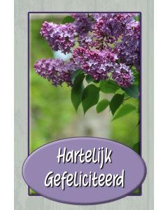Gefeliciteerd algemeen 93