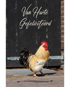Gefeliciteerd heren 63
