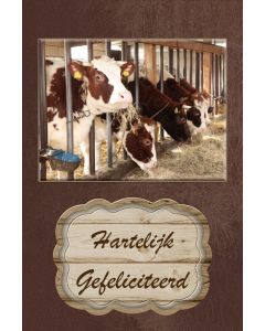 Gefeliciteerd heren 74