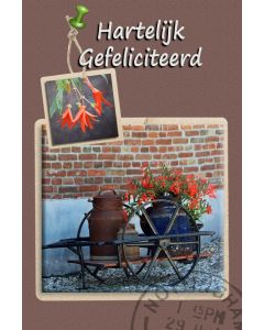 Gefeliciteerd heren 81