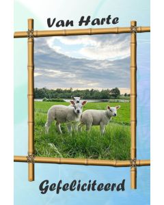 Gefeliciteerd kind 02