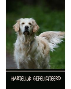 Gefeliciteerd kind 100
