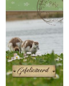 Gefeliciteerd kind 74