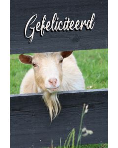 Gefeliciteerd kind 84