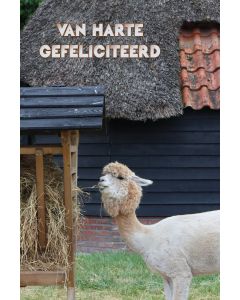 Gefeliciteerd kind 87