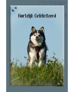 Gefeliciteerd kind 95