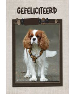 Gefeliciteerd kind 99