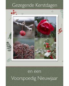 Gezegend 01