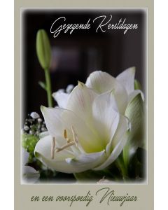 Gezegend 04