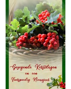 Gezegend 07
