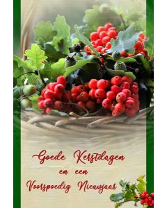 Goede 07
