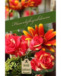 Jubileum 49