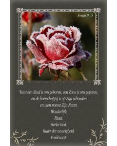 Kerst 2529