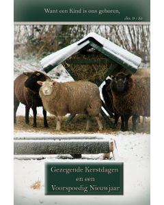 Kerst 2535