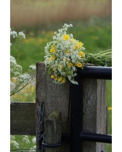 Landelijk 04