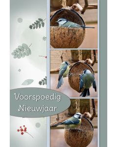 Nieuwjaar 02