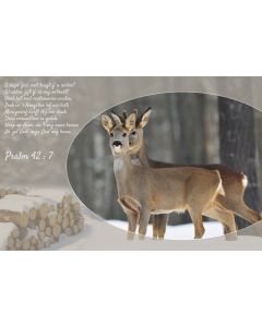 Psalmen-23