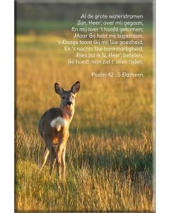 Psalmen 35