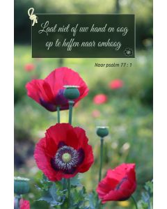 Psalmen 43